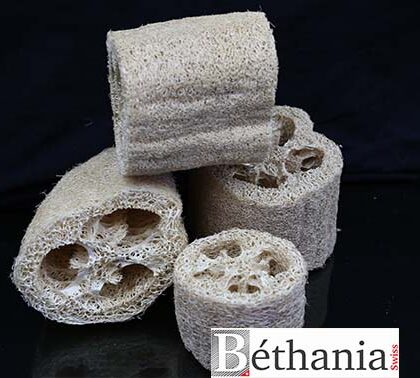 Éponge végétale Loofa, petite